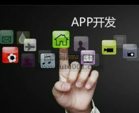 山東德州APP開發與信息技術咨詢服務指南
