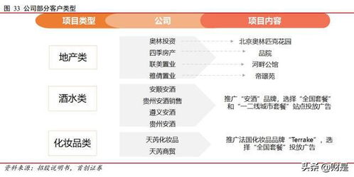 兆訊傳媒研究報(bào)告 開(kāi)拓不止，賽道領(lǐng)航 —— 數(shù)字廣告發(fā)布的變革先鋒與未來(lái)引領(lǐng)者